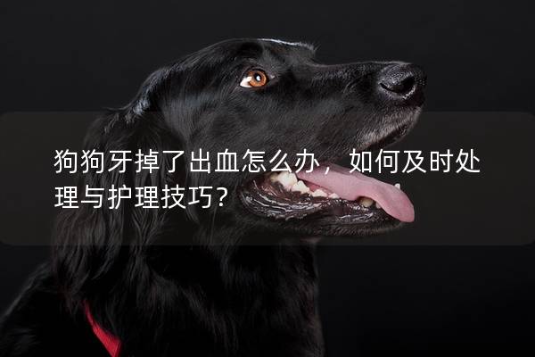 狗狗牙掉了出血怎么办，如何及时处理与护理技巧？