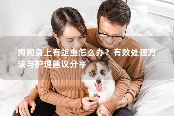 狗狗身上有蛆虫怎么办？有效处理方法与护理建议分享