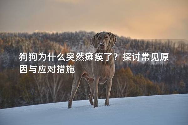 狗狗为什么突然瘫痪了？探讨常见原因与应对措施