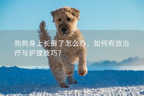 狗狗身上长癣了怎么办，如何有效治疗与护理技巧？