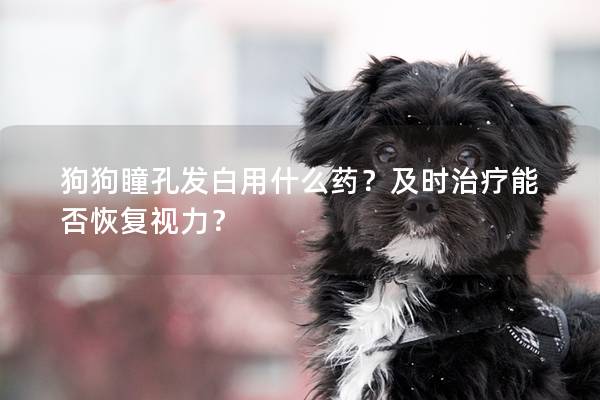 狗狗瞳孔发白用什么药？及时治疗能否恢复视力？