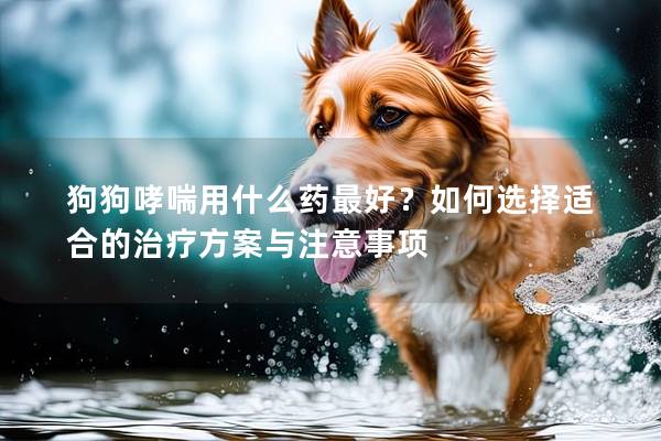 狗狗哮喘用什么药最好？如何选择适合的治疗方案与注意事项