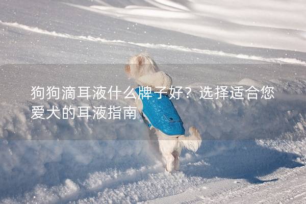 狗狗滴耳液什么牌子好？选择适合您爱犬的耳液指南