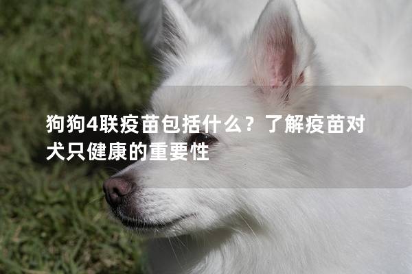 狗狗4联疫苗包括什么？了解疫苗对犬只健康的重要性