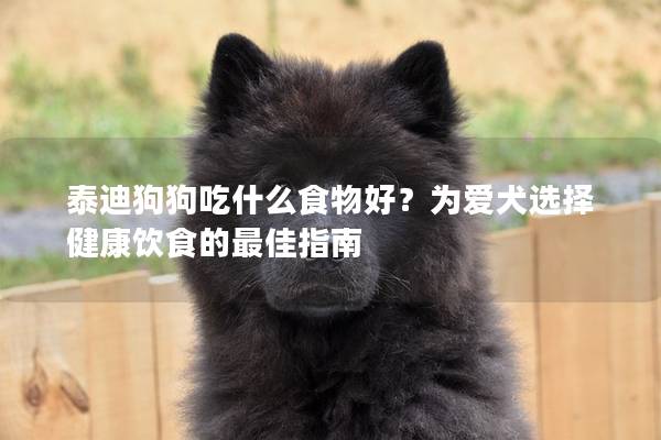 泰迪狗狗吃什么食物好？为爱犬选择健康饮食的最佳指南