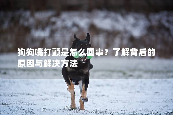 狗狗嘴打颤是怎么回事？了解背后的原因与解决方法