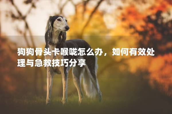 狗狗骨头卡喉咙怎么办，如何有效处理与急救技巧分享