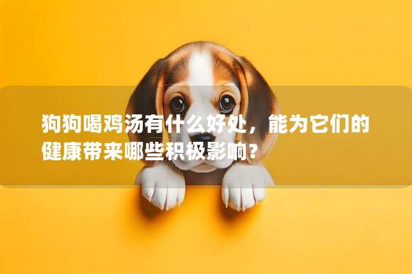 狗狗喝鸡汤有什么好处，能为它们的健康带来哪些积极影响？