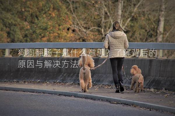 狗狗翻肠子是什么意思？了解背后的原因与解决方法