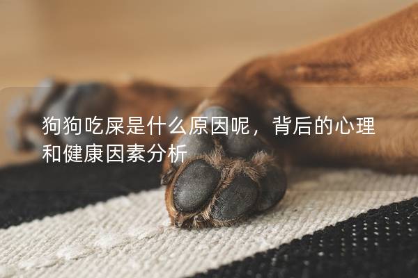 狗狗吃屎是什么原因呢，背后的心理和健康因素分析