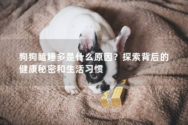 狗狗瞌睡多是什么原因？探索背后的健康秘密和生活习惯