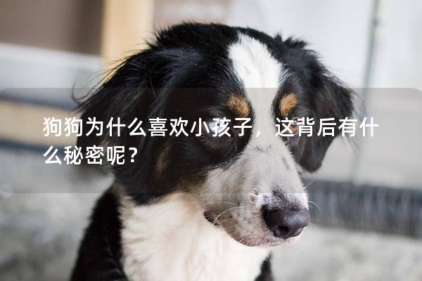 狗狗为什么喜欢小孩子，这背后有什么秘密呢？