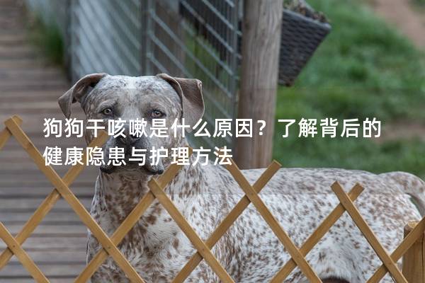 狗狗干咳嗽是什么原因？了解背后的健康隐患与护理方法