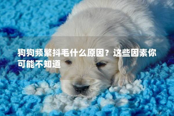 狗狗频繁抖毛什么原因？这些因素你可能不知道