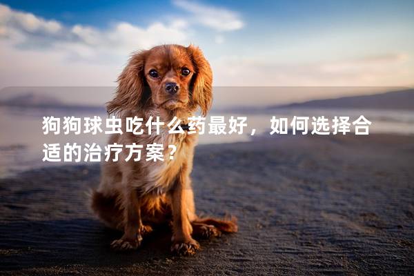 狗狗球虫吃什么药最好，如何选择合适的治疗方案？