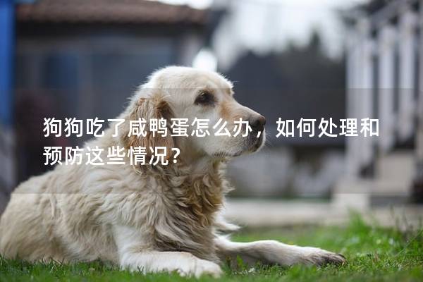 狗狗吃了咸鸭蛋怎么办，如何处理和预防这些情况？