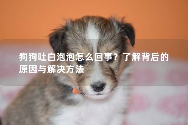 狗狗吐白泡泡怎么回事？了解背后的原因与解决方法