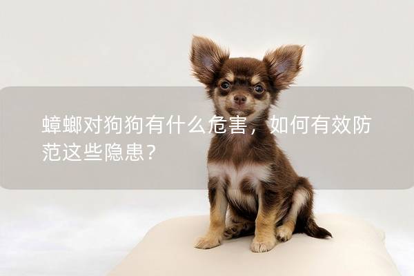 蟑螂对狗狗有什么危害，如何有效防范这些隐患？