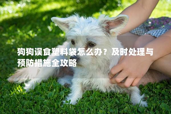 狗狗误食塑料袋怎么办？及时处理与预防措施全攻略