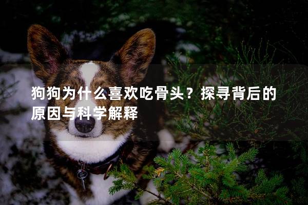 狗狗为什么喜欢吃骨头？探寻背后的原因与科学解释