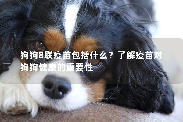 狗狗8联疫苗包括什么？了解疫苗对狗狗健康的重要性