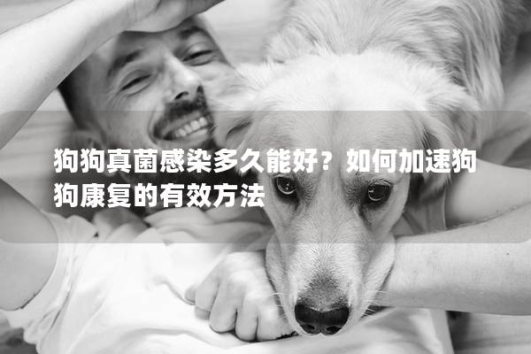 狗狗真菌感染多久能好？如何加速狗狗康复的有效方法