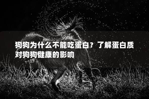 狗狗为什么不能吃蛋白？了解蛋白质对狗狗健康的影响