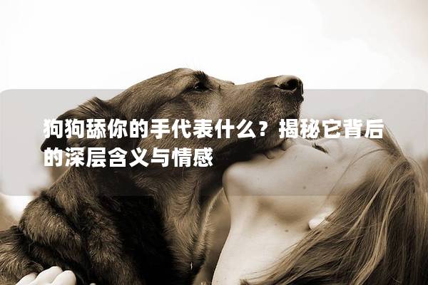 狗狗舔你的手代表什么？揭秘它背后的深层含义与情感