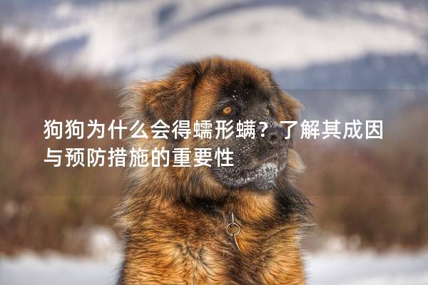 狗狗为什么会得蠕形螨？了解其成因与预防措施的重要性