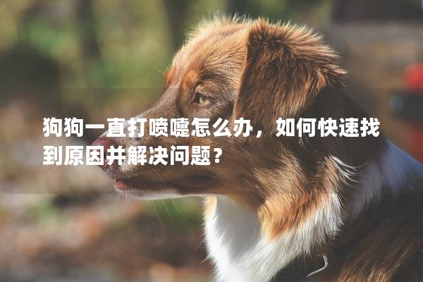 狗狗一直打喷嚏怎么办，如何快速找到原因并解决问题？