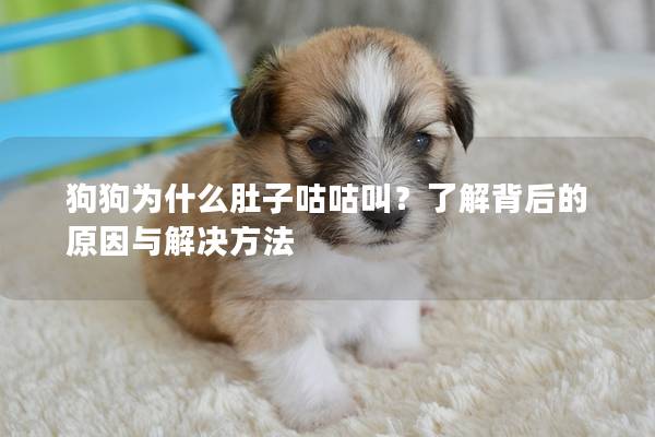 狗狗为什么肚子咕咕叫？了解背后的原因与解决方法