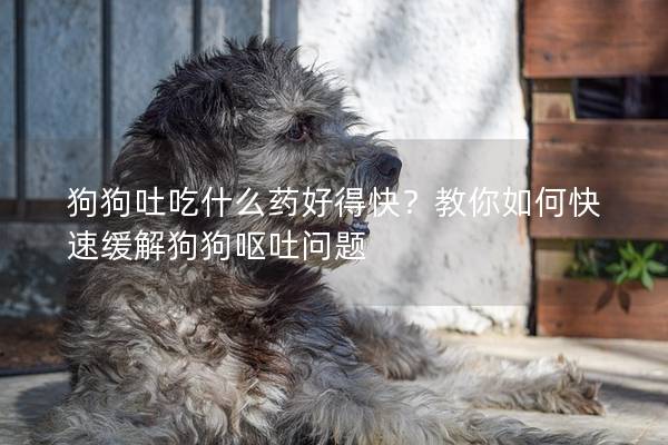 狗狗吐吃什么药好得快？教你如何快速缓解狗狗呕吐问题