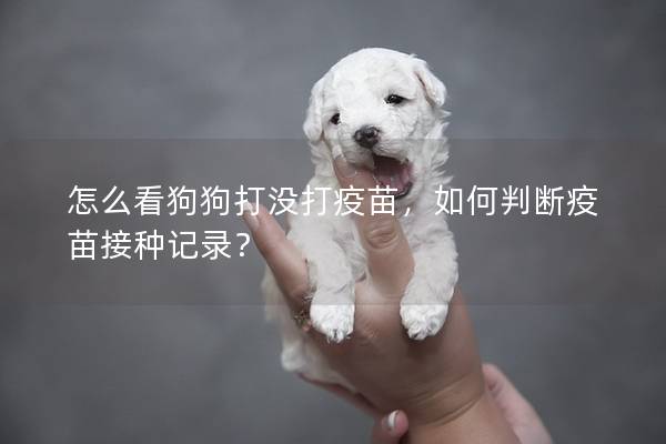 怎么看狗狗打没打疫苗，如何判断疫苗接种记录？