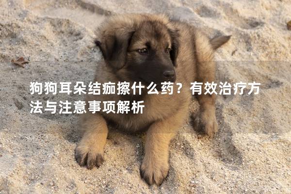 狗狗耳朵结痂擦什么药？有效治疗方法与注意事项解析