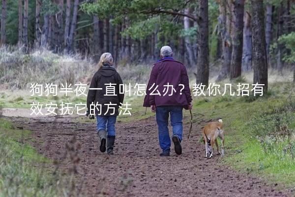 狗狗半夜一直叫怎么办？教你几招有效安抚它的方法