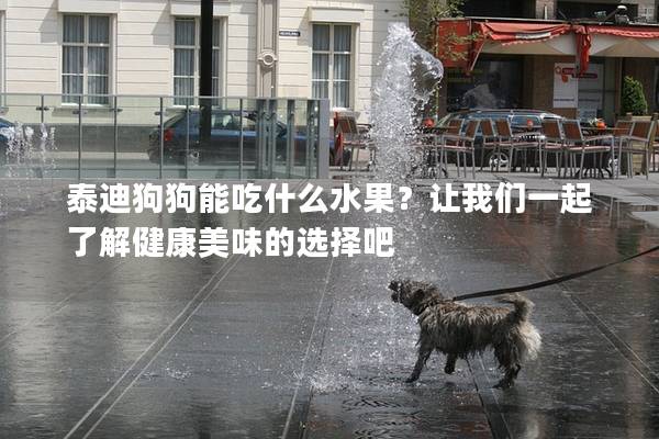 泰迪狗狗能吃什么水果？让我们一起了解健康美味的选择吧