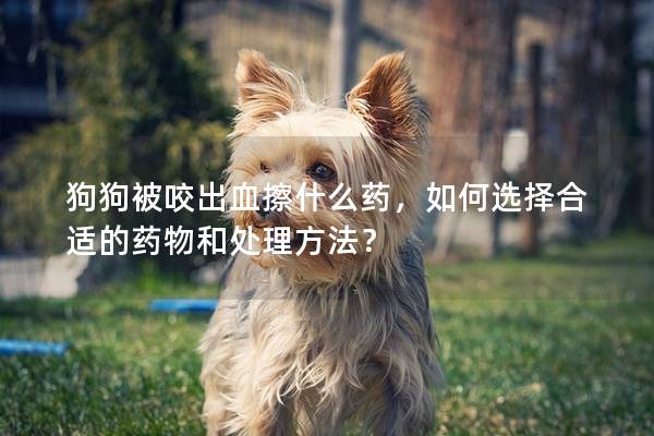 狗狗被咬出血擦什么药，如何选择合适的药物和处理方法？