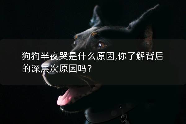 狗狗半夜哭是什么原因,你了解背后的深层次原因吗？