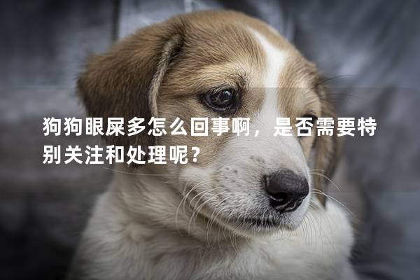 狗狗眼屎多怎么回事啊，是否需要特别关注和处理呢？