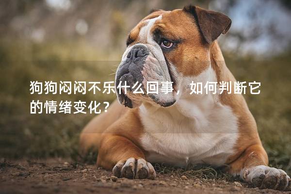 狗狗闷闷不乐什么回事，如何判断它的情绪变化？