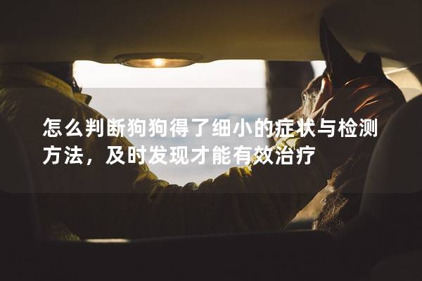 怎么判断狗狗得了细小的症状与检测方法，及时发现才能有效治疗