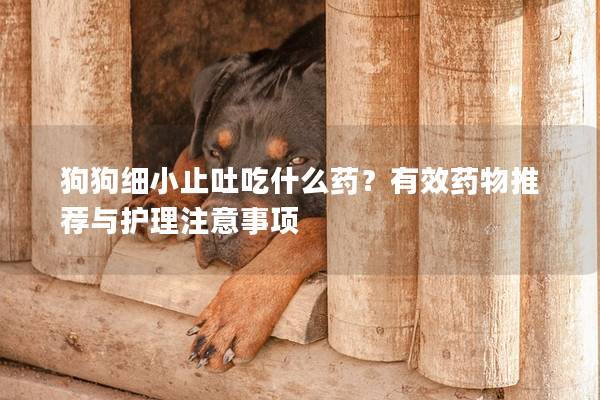 狗狗细小止吐吃什么药？有效药物推荐与护理注意事项