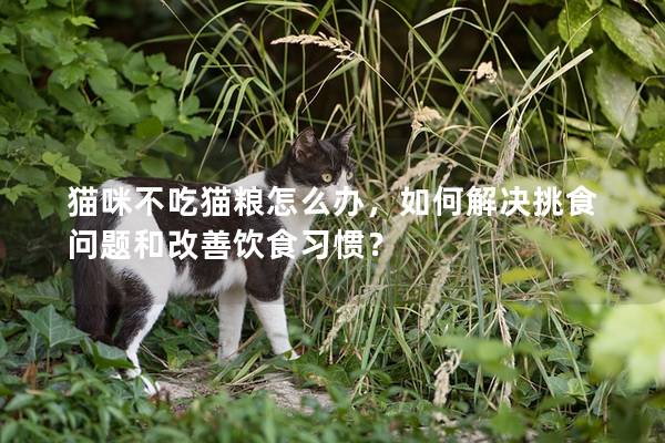 猫咪不吃猫粮怎么办，如何解决挑食问题和改善饮食习惯？