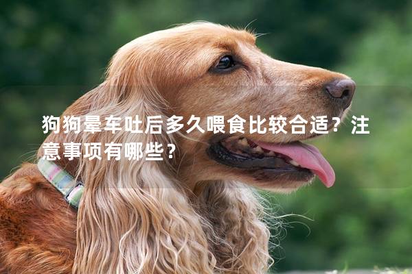 狗狗晕车吐后多久喂食比较合适？注意事项有哪些？