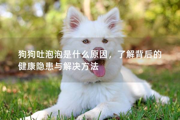 狗狗吐泡泡是什么原因，了解背后的健康隐患与解决方法