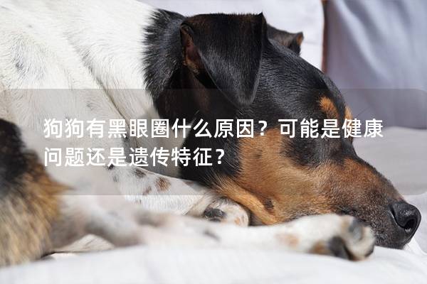 狗狗有黑眼圈什么原因？可能是健康问题还是遗传特征？