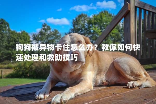 狗狗被异物卡住怎么办？教你如何快速处理和救助技巧