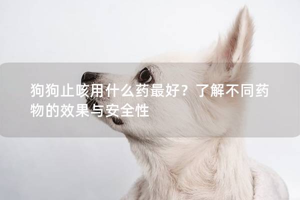 狗狗止咳用什么药最好？了解不同药物的效果与安全性