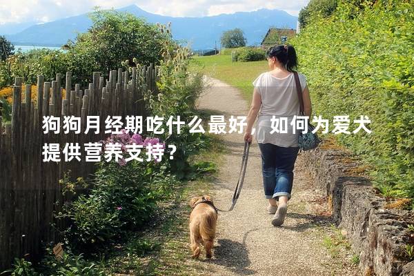 狗狗月经期吃什么最好，如何为爱犬提供营养支持？