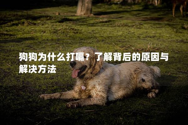 狗狗为什么打嗝？了解背后的原因与解决方法